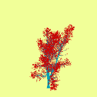 greenshift tree