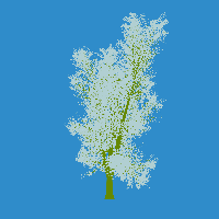 greenshift tree