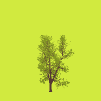 greenshift tree