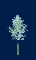 greenshift tree