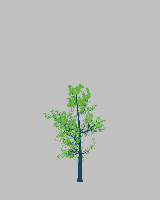 greenshift tree