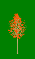 greenshift tree