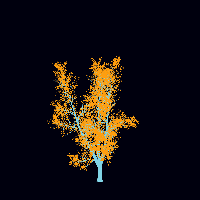greenshift tree