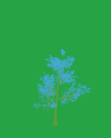 greenshift tree