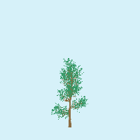 greenshift tree