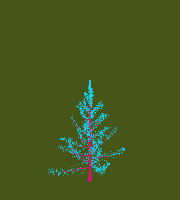 greenshift tree