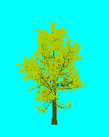greenshift tree