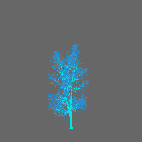 greenshift tree