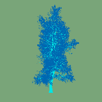 greenshift tree