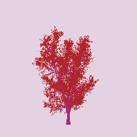 greenshift tree