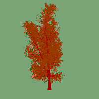 greenshift tree
