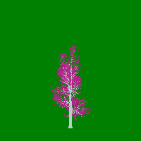 greenshift tree