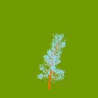 greenshift tree