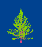 greenshift tree