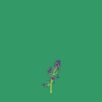 greenshift tree