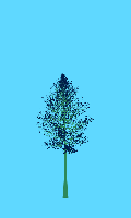 greenshift tree