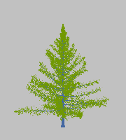 greenshift tree