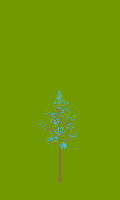 greenshift tree