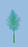 greenshift tree