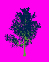 greenshift tree