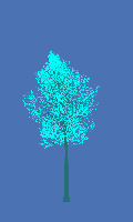 greenshift tree