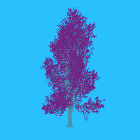 greenshift tree