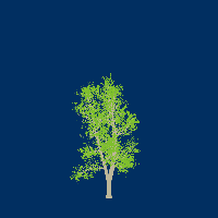 greenshift tree