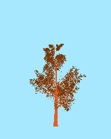 greenshift tree
