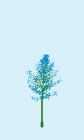 greenshift tree