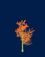 greenshift tree