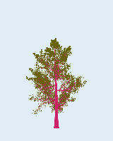 greenshift tree