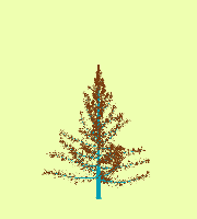 greenshift tree