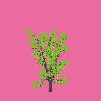 greenshift tree