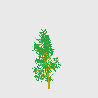 greenshift tree