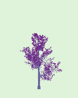 greenshift tree