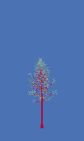 greenshift tree