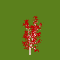 greenshift tree