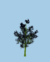greenshift tree