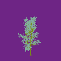 greenshift tree