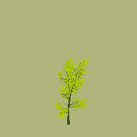 greenshift tree