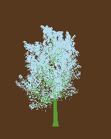 greenshift tree
