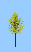 greenshift tree