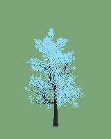 greenshift tree