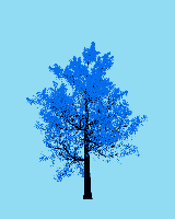 greenshift tree