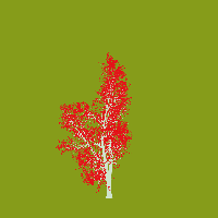 greenshift tree