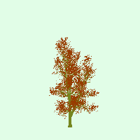 greenshift tree