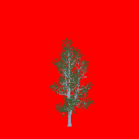 greenshift tree