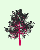 greenshift tree