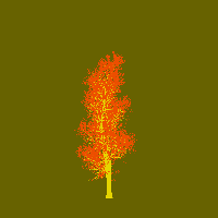 greenshift tree