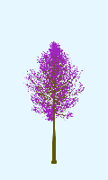 greenshift tree